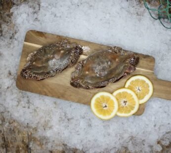 FROZEN WHOLE BLUE SWIMMER CRABS KG