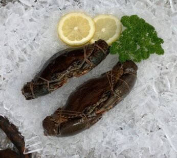 FROZEN WHOLE MUD CRAB 300-400G EA