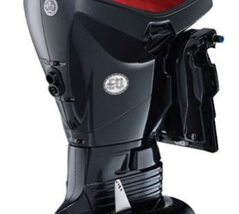 Evinrude 40 HP – E40DPJL