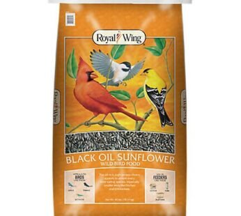 Sunflower Oil