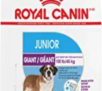 Giant Starter Mother & Babydog