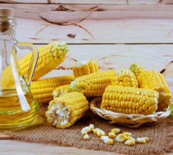 Corn Oil