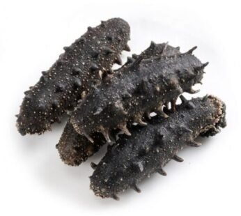 Frozen and Dried Sea cucumber