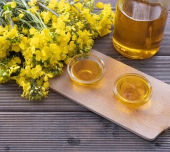 Canola Oil
