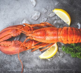 Lobster Cooked 550-650grams
