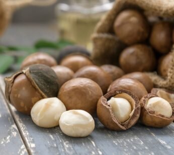 Macadamia Nuts