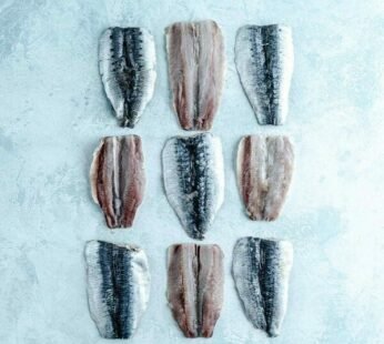 SARDINE FILLETS