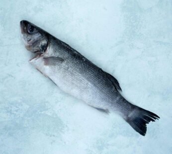 WHOLE SEA BASS