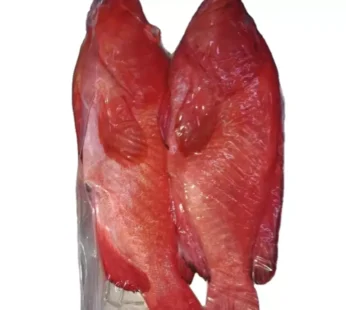 FROZEN RED GROUPER