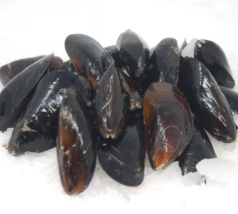 Mussels