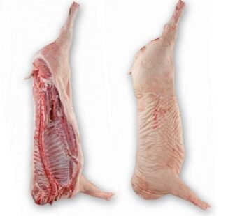 Boneless Pork Shoulder Roast
