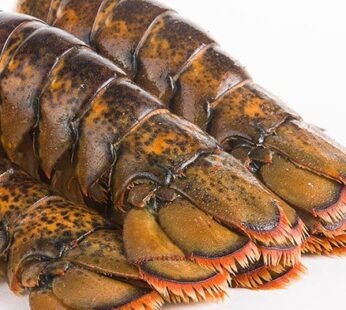 Lobster Tail 250-280g Each
