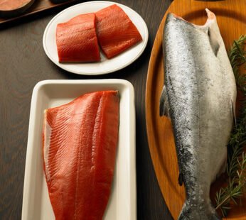 Sockeye Salmon
