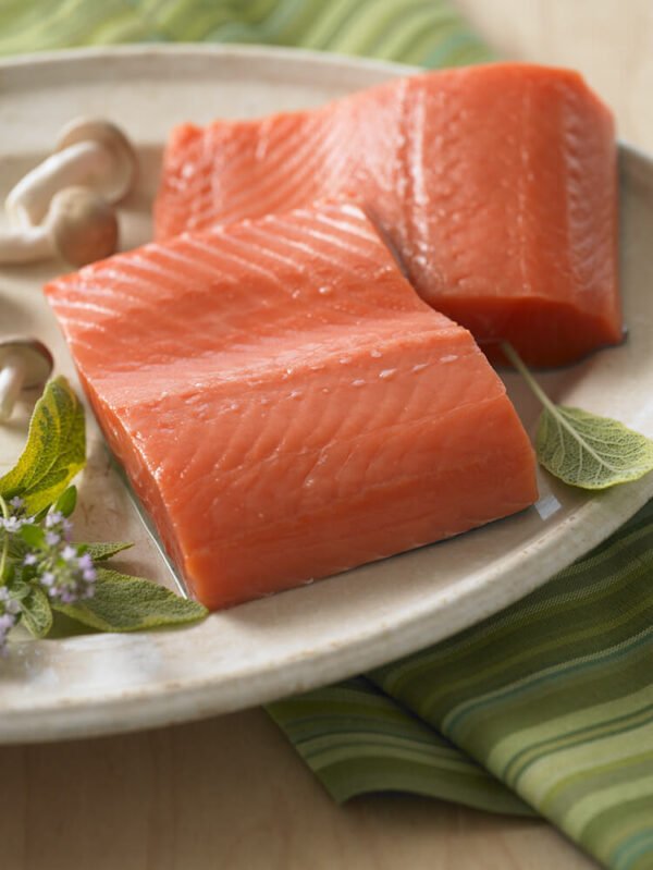 Coho Salmon