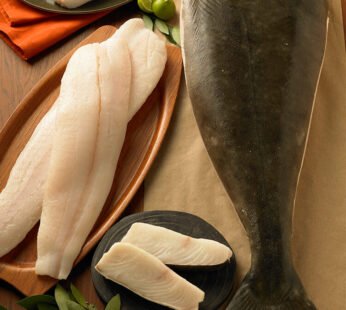 Halibut
