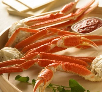 Snow Crab