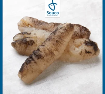 Sandfish Sea Cucumber